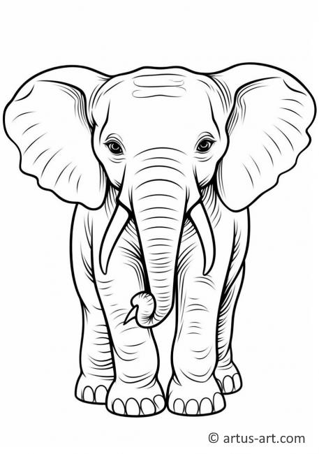Elephant Coloring Page For Kids